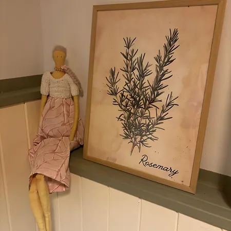 U Zltej Macky * Spišská Nová Ves